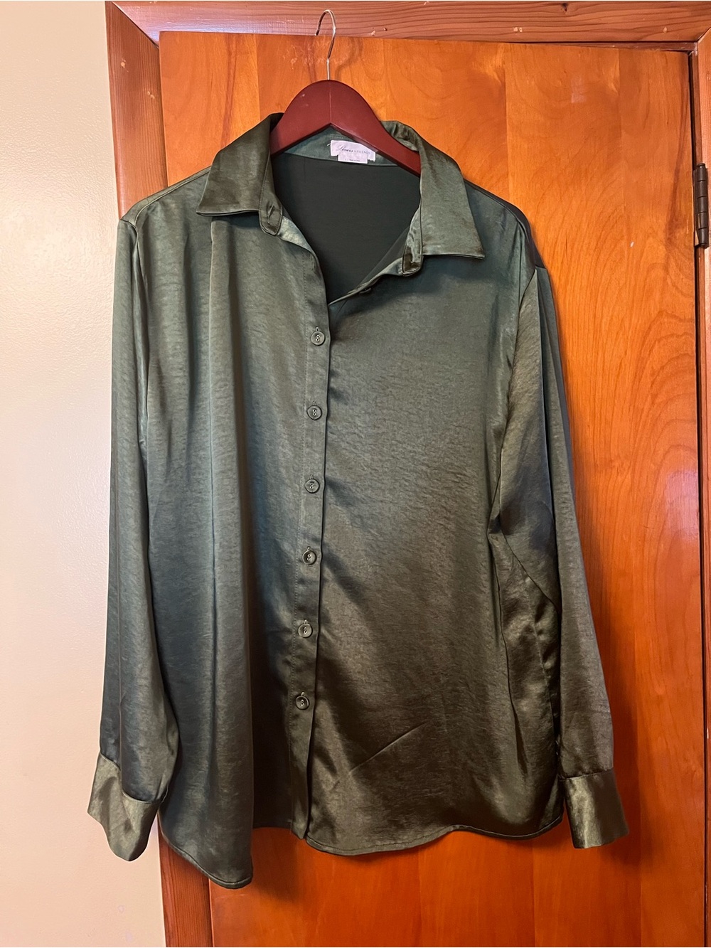 Olive Green Satin Long-Sleeve Button-Up Shirt - Womens